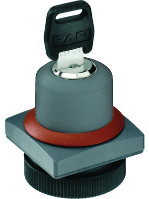 RAFI - 1.30.255.052/0000 - Key lock switch 1 x 40° 22 mm RAFIX 22 FS+ 0°/40°, 1.30.255.052/0000, RAFI